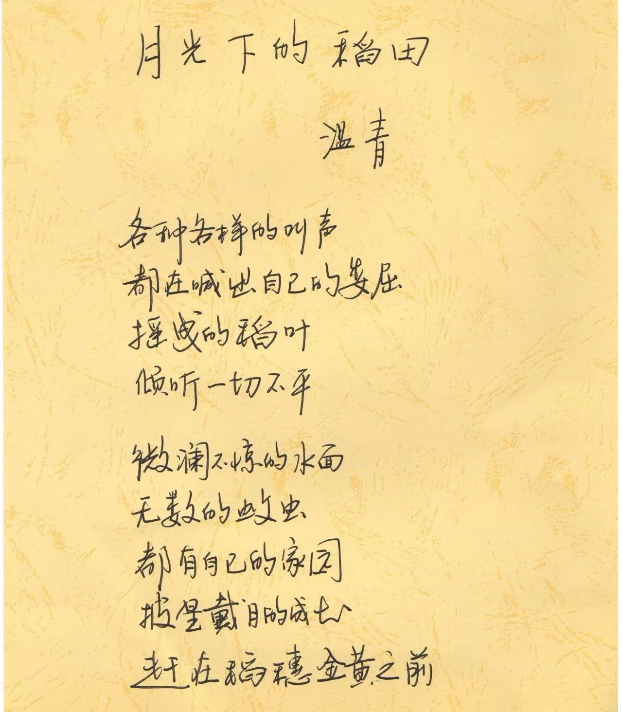 纸上的芬芳中国田园诗歌手稿选登