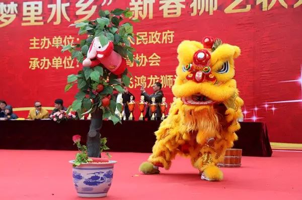 无醒狮不春节南海多场新春万人狮会明起开show