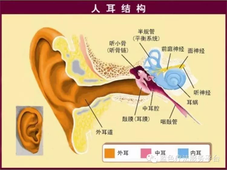 腮腺炎与中耳炎的治疗