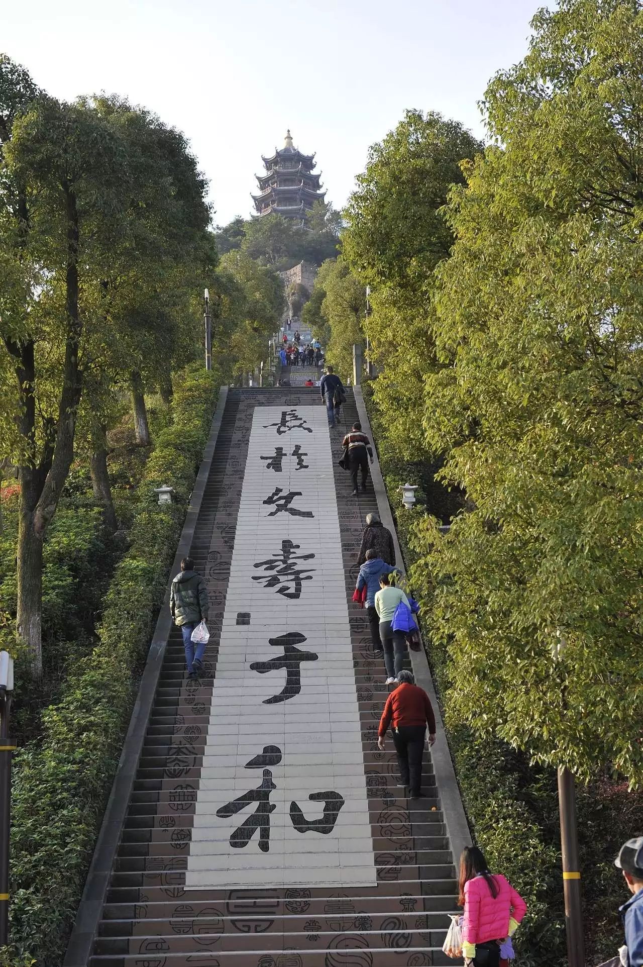 还带去了长寿古镇和菩提山等拿得出手,拿出去就惊艳的美景