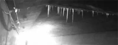 45岁王菲被爆已怀孕3个月;长春光复路一门市起火 疑因库房电线老化【速读今日】-怀孕期