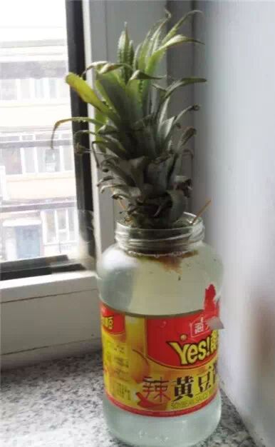 45岁王菲被爆已怀孕3个月;长春光复路一门市起火 疑因库房电线老化【速读今日】-怀孕期