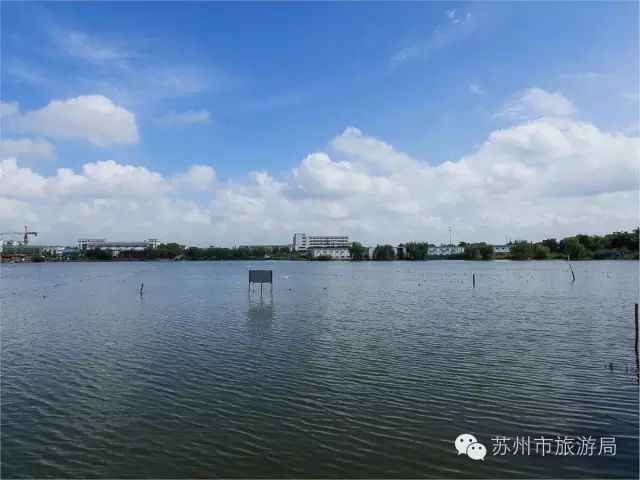 天下珍珠渭塘先,渭塘珍珠甲天下