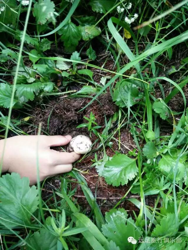 8月27-28日自驾麻田岭、露营、烧烤、野炊2日游