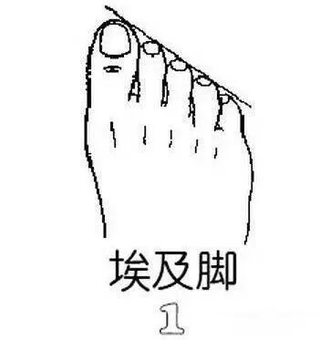 是不是美女，就看脚！来看看你是什么脚