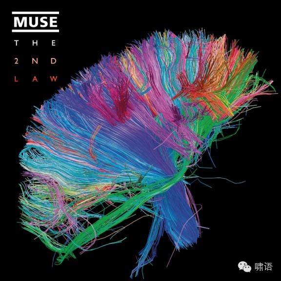  格莱美得奖艺术家 MUSE 新专辑《The 2nd Law》的封面，由人脑连接组计划提供
