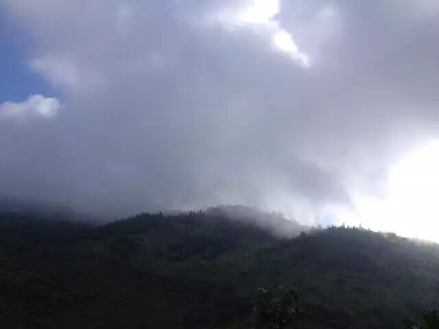 点击浏览下一页