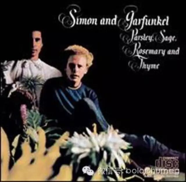 【经典欣赏】Paul Simon&Art Garfunkel——Scarborough ...