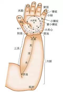 儿童灸课堂/小儿感冒、发烧、咳嗽、便秘、腹泻、湿疹有效偏方集