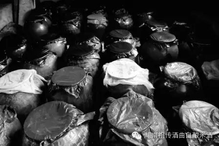 【实拍】真人图解酿酒全过程——湖南永州米酒