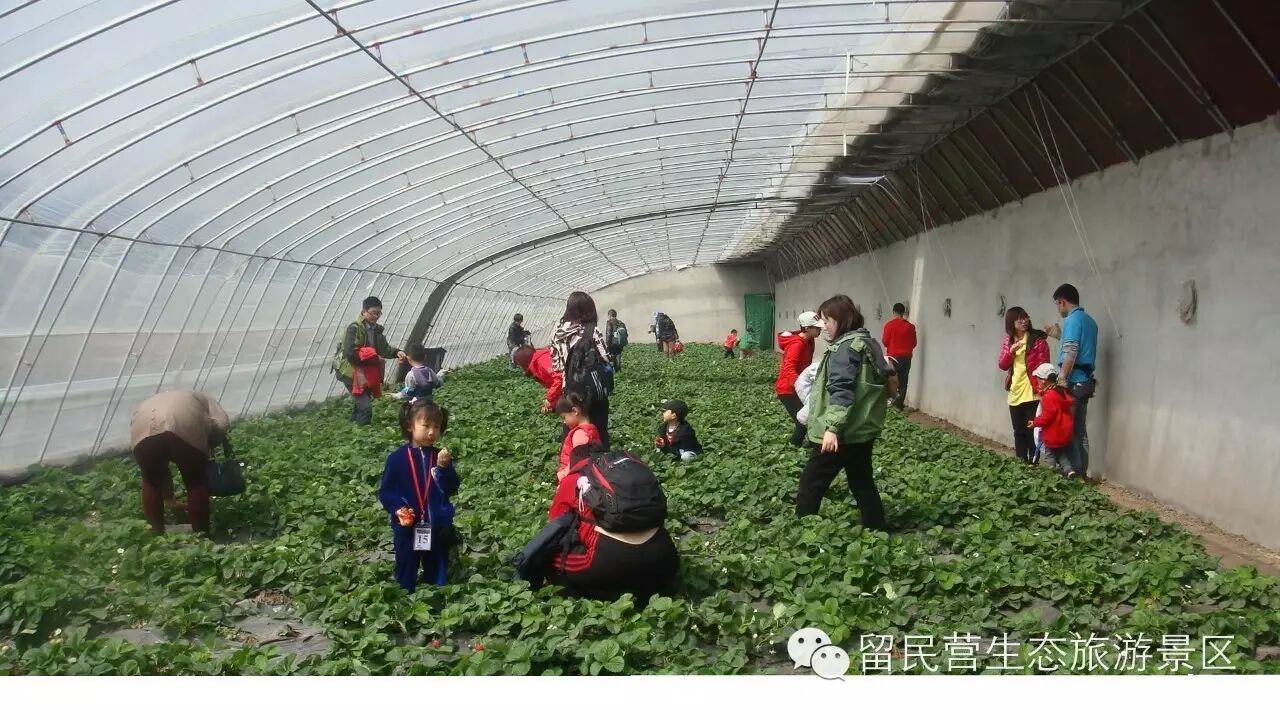 学农感悟   你懂得