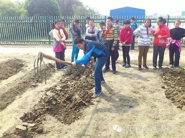 学农感悟   你懂得