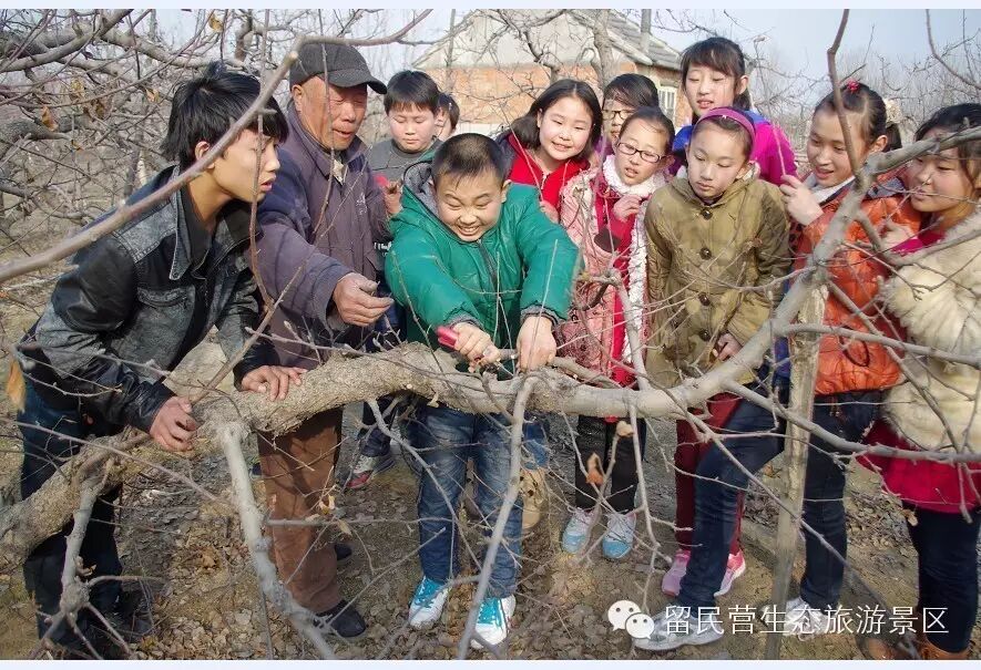 学农感悟   你懂得