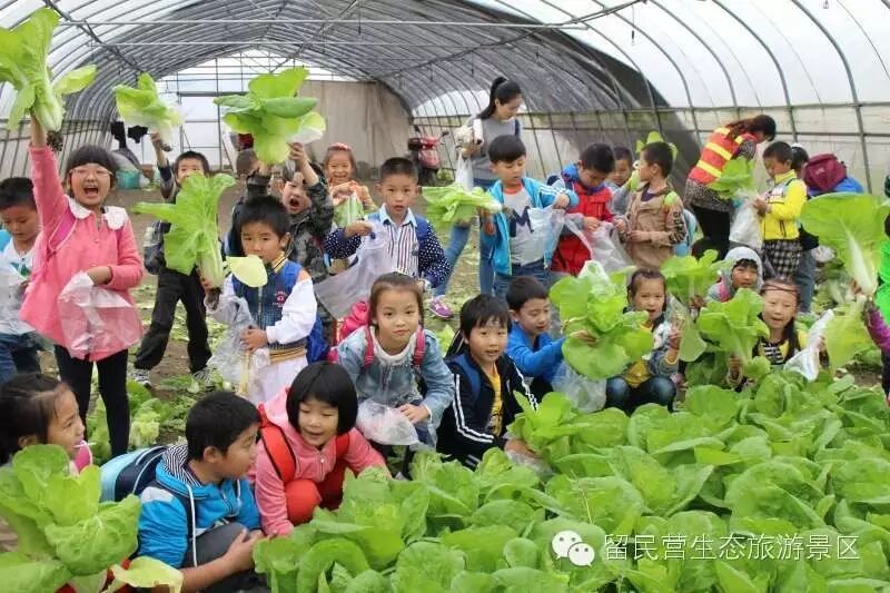 学农感悟   你懂得