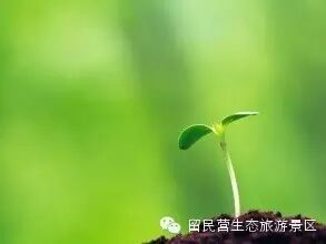 学农感悟   你懂得