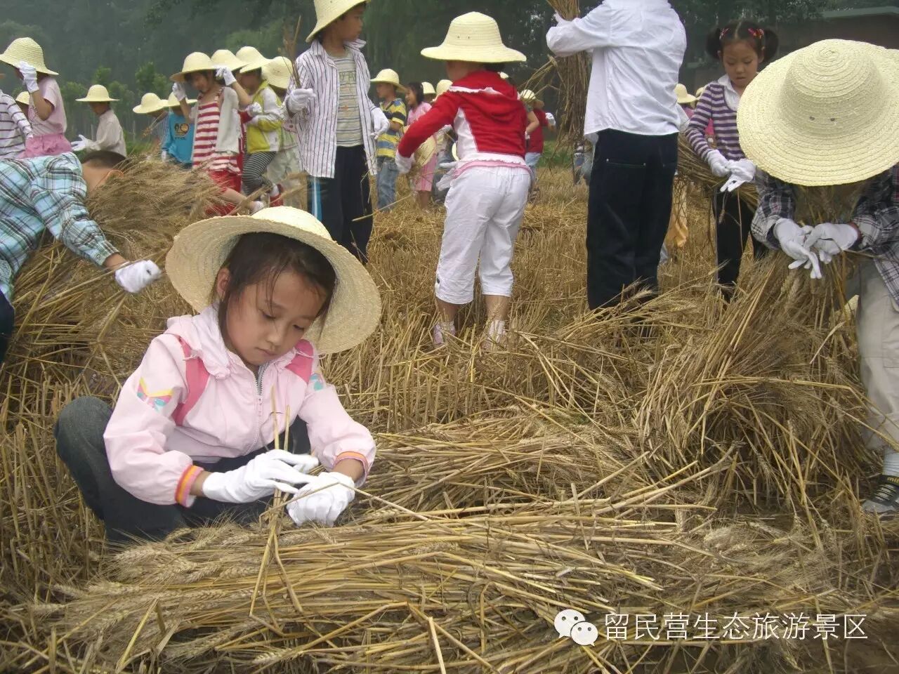 学农感悟   你懂得