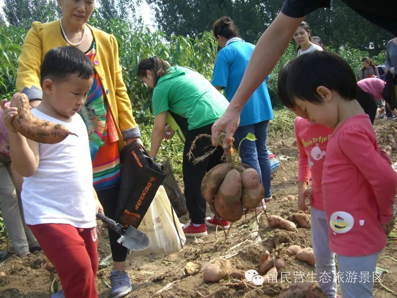 学农感悟   你懂得