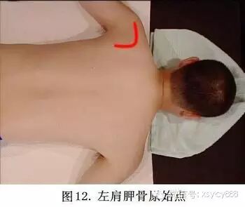 台湾张钊汉原始点按摩手法全集及介绍