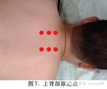 台湾张钊汉原始点按摩手法全集及介绍