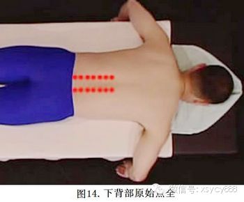 台湾张钊汉原始点按摩手法全集及介绍