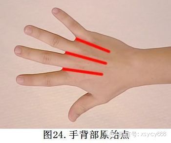 台湾张钊汉原始点按摩手法全集及介绍