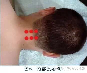 台湾张钊汉原始点按摩手法全集及介绍