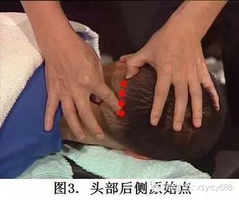 台湾张钊汉原始点按摩手法全集及介绍