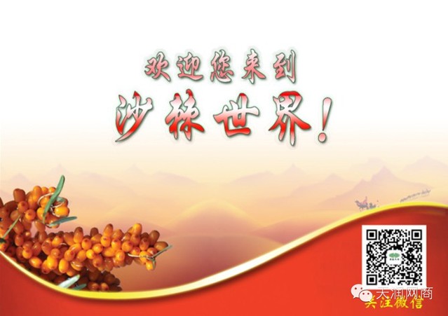 沙棘的功效与作用