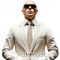 pitbull songs