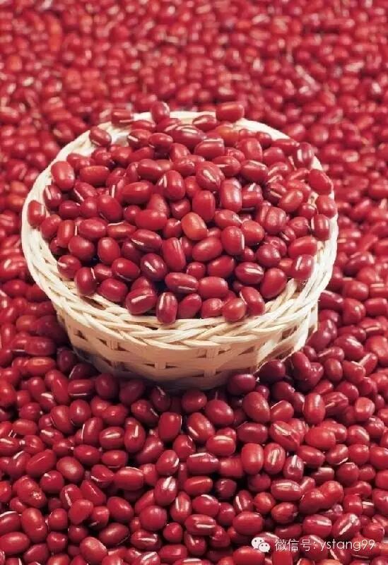 【养发】这样子喝豆浆，一杯顶三杯普通豆浆。让头发更黑、更亮！