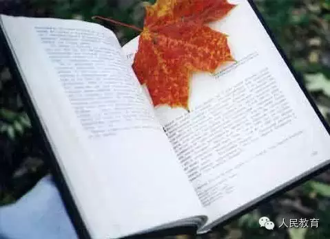 (转)【微阅读】不惩罚,可以吗 - 太阳风 - 拾穗者 (转)【微阅读】不惩罚,可以吗 - 太阳风 - 拾穗者