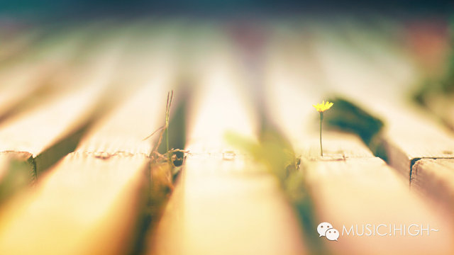 第五期 前奏控 用前奏抓住你的耳朵