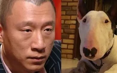 孙红雷黄渤与狗撞脸,哈哈哈这段真是笑出了腹肌!