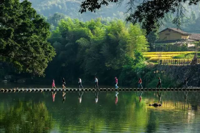 28 森林氧吧 29 天一总局 30 紫云岩 31 三平寺 32 灵通山 33 大芹山