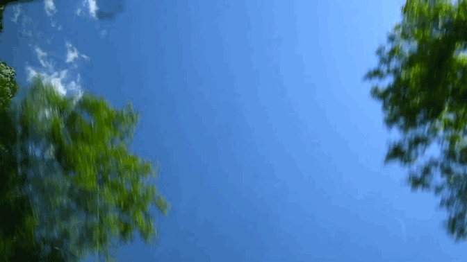 观致大家说丨诗与远方,高颜值吃货团观致5撒野体验