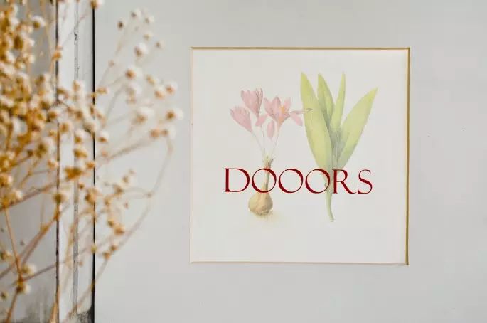 森林系花藝飾品工作室：DOOORS 乾燥花菓手作 家居 第4張