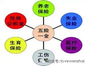 涨姿势：五险一金其实有好多“坑”！不知道的话好多交了也白交385 / 作者:美丽的梦花 / 帖子ID:107554