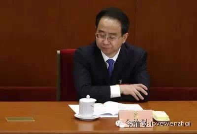 【这里应该显示令计划的相片。】