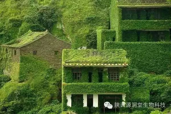 大力发展休闲农业，建设宜游宜养的森林景区