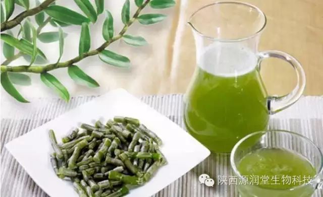 大力发展休闲农业，建设宜游宜养的森林景区