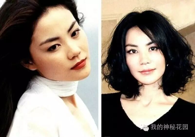 为何谢霆锋还会爱王菲