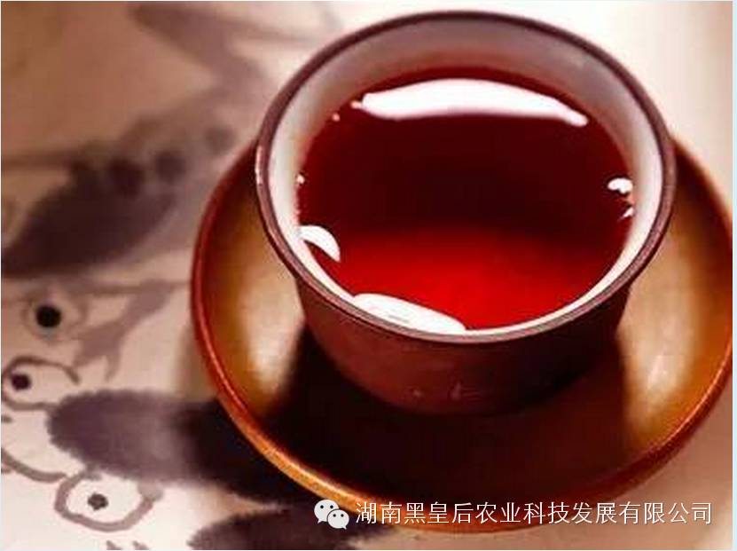 老茶有多火? 赵薇李连杰这些明星都在喝