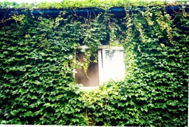 木林森小课堂丨家居灯光布局点睛之笔：实用与艺术兼备