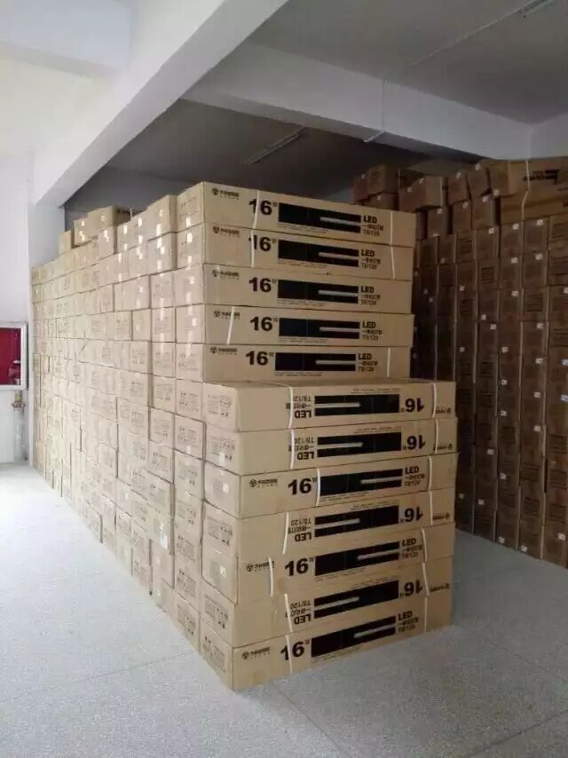 森之锋·第二季丨江西，甘肃荣旺盛夏