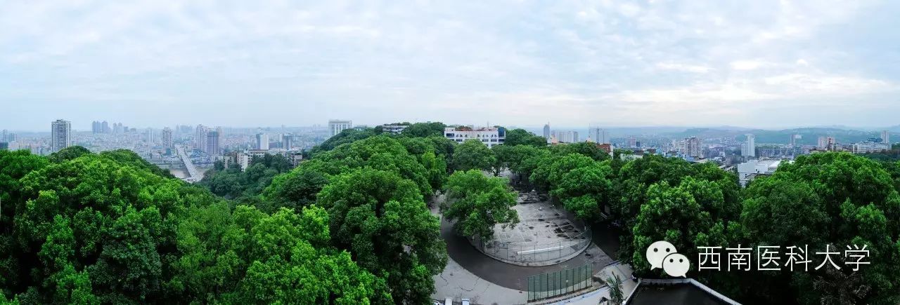 忠山校区鸟瞰