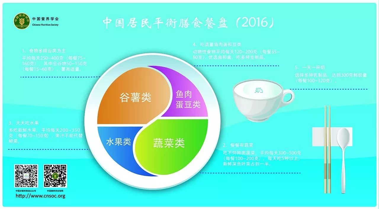 平衡膳食餐盘则是一个人一餐大致的食物组成和结构比例,简洁直观,它没