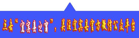 想生二孩的看过来!生二孩还要审批吗?头胎双胞胎还能再生吗?我们能多休几天产假?-怀孕期