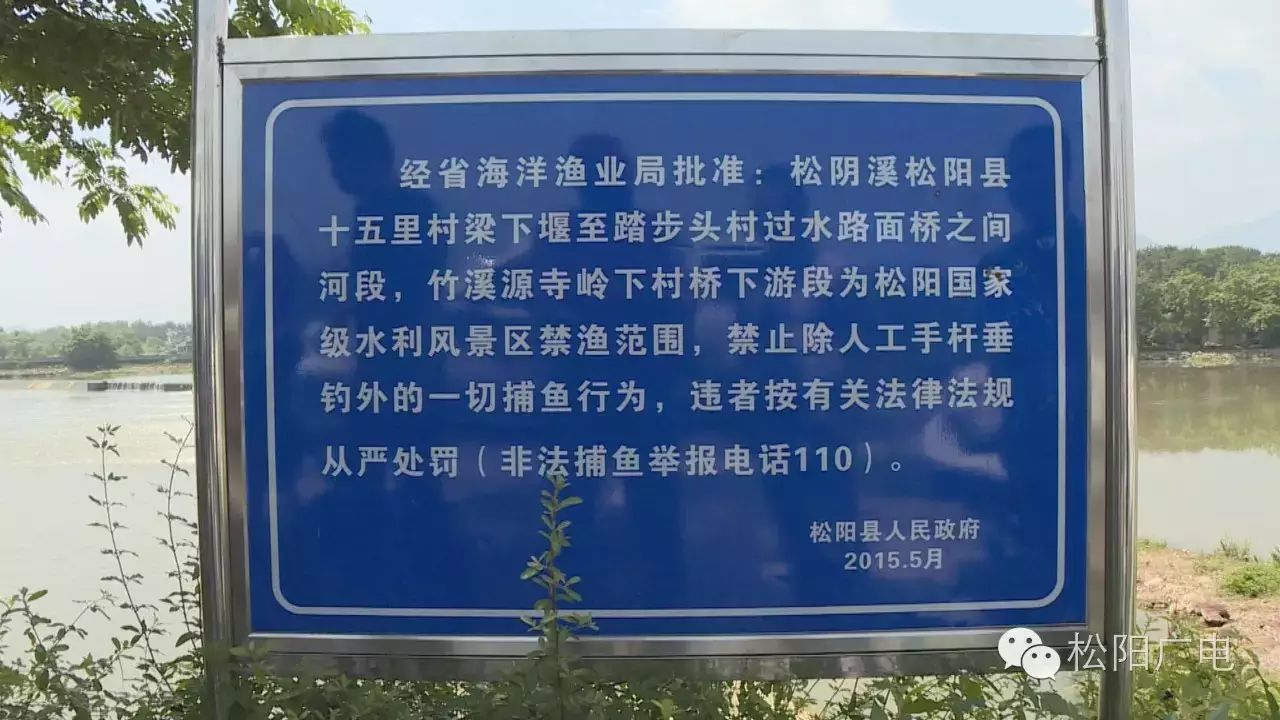 非法捕鱼不单要处罚,还得让你掏钱买鱼苗,松阳这4个人今天就这么做了