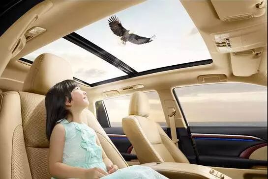 中产家庭的“生二胎神器”-怀孕期