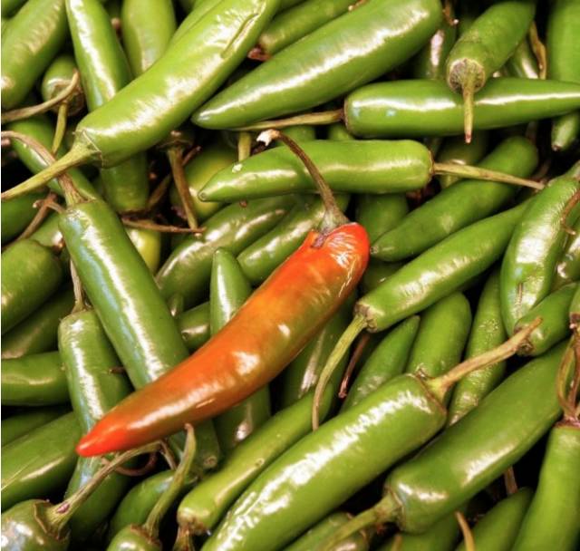 微波炉里陶瓷碗可以加热吗_微波炉陶瓷碗可以用吗_陶瓷碗可以放微波炉